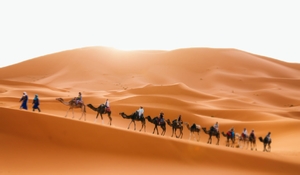 Camel Trek Morocco Camel Trek Morocco