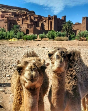Desert Tour from Marrakech Desert Tour from Marrakech
