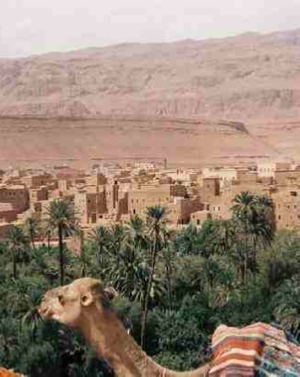 Desert Tour from Marrakech Desert Tour from Marrakech